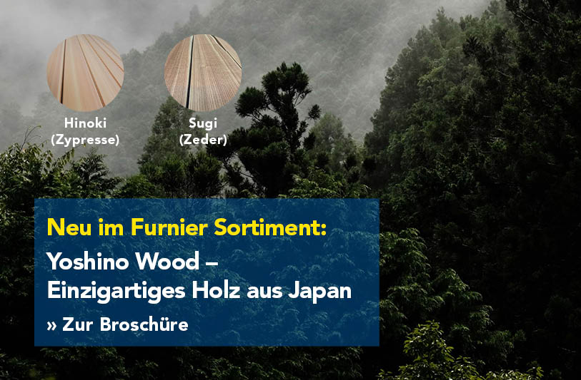 Furnier-Yoshino-Wodd