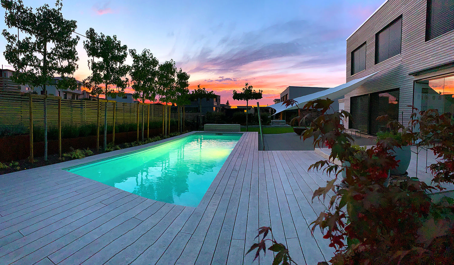 ACCOYA® Gartenprojekt 2020
