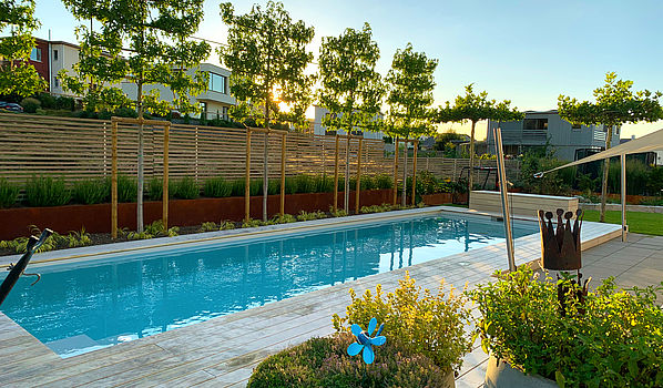 ACCOYA® Gartenprojekt 2020